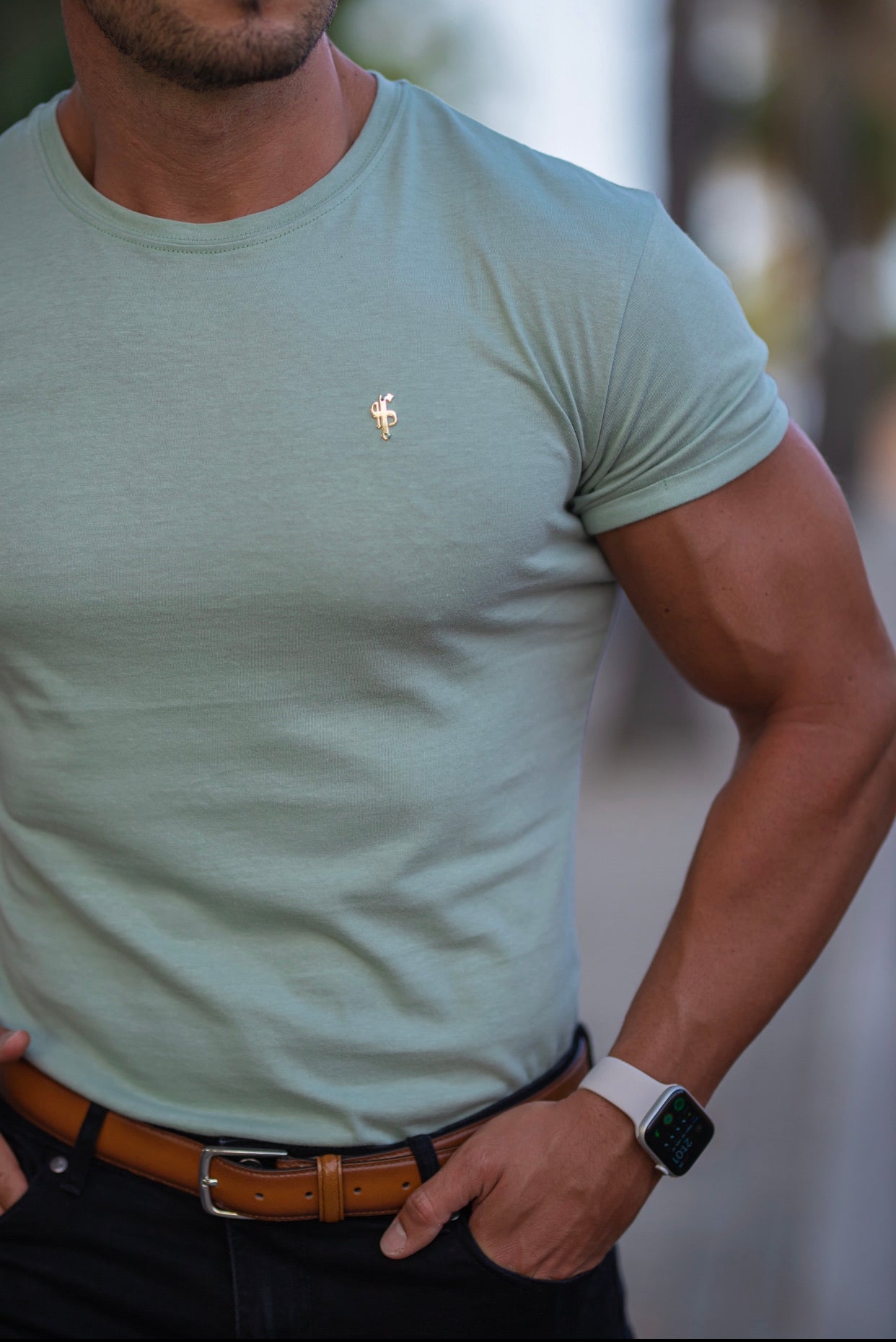 Classic Sage Green Crew with Gold Metal Emblem Decal FSH503