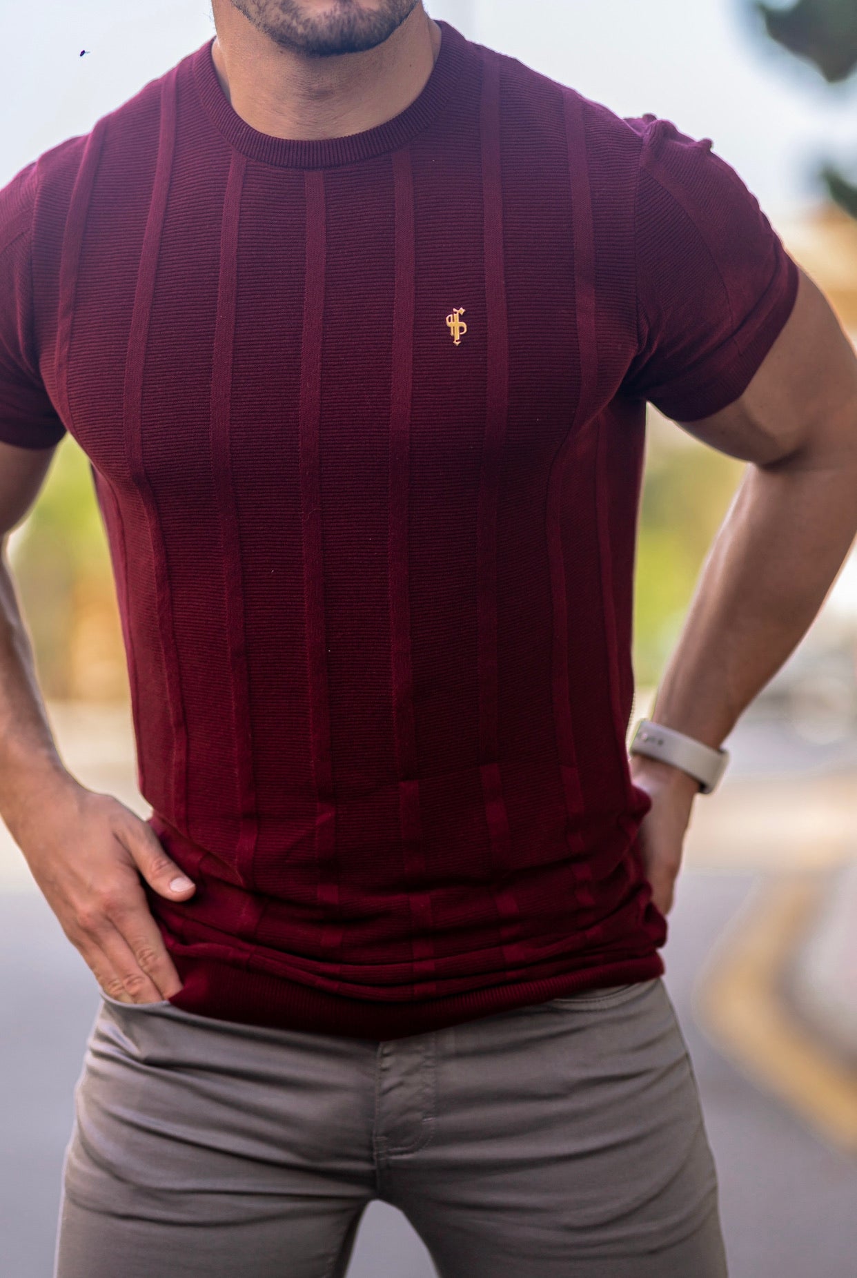 Classic Short Sleeve Burgundy Knitted Wide Rib Crew with Gold Emblem - FSH563