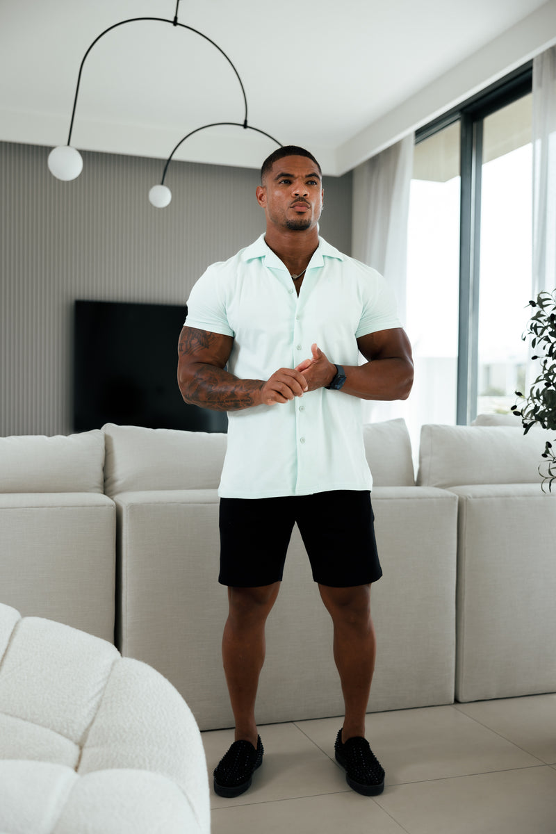 Father Sons Stretch Mint Pique Revere Shirt Short Sleeve - FSH1078