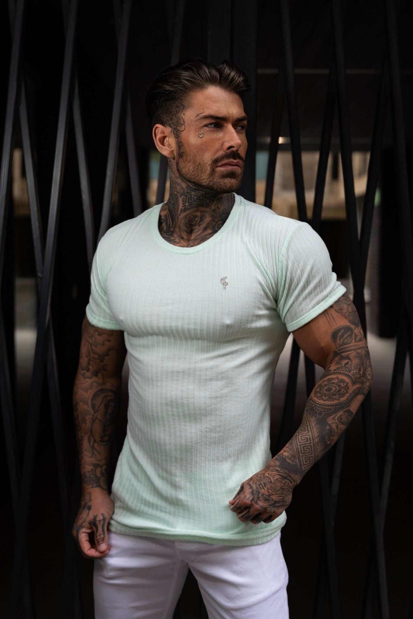 Classic Mint / Silver Ribbed Knit Super Slim Short Sleeve Crew - FSH1094