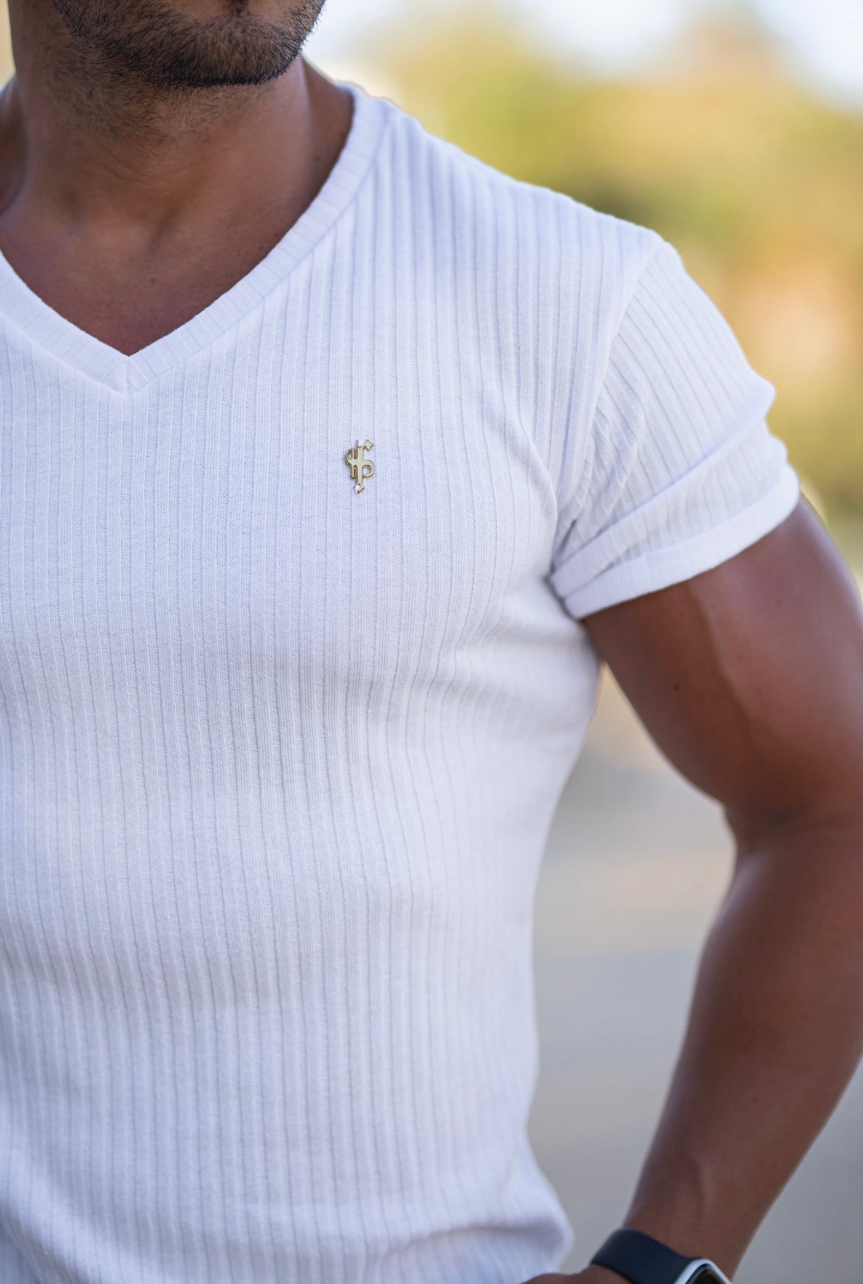 Super Slim White / Gold V Neck Ribbed Crew - FSH498